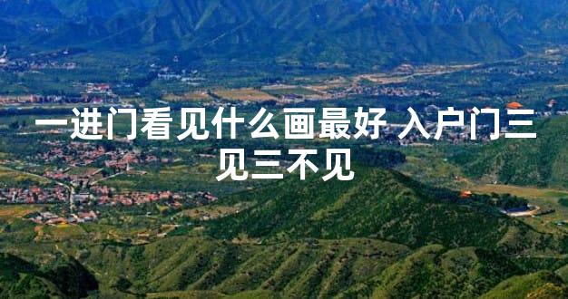 一进门看见什么画最好 入户门三见三不见